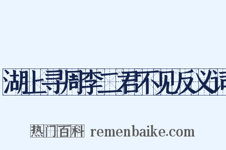 湖上寻周李二君不见反义词是什么意思的图片
